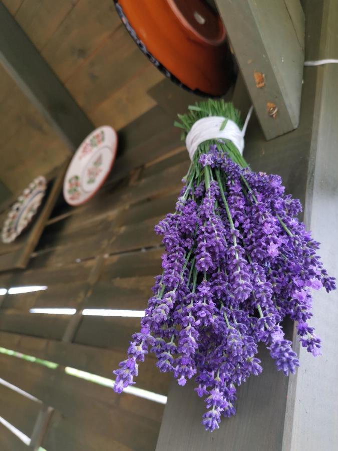 Berko Vendeghaz Apartment Rakoczifalva ภายนอก รูปภาพ